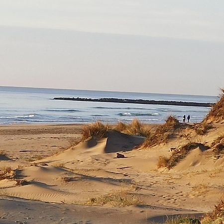 T2 Rdc Avec Jardin, Cap D'Agde, Secteur Falaise, 100 M Plage, Clim, Wifi, Parking Extérieur photo